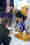 20180908_cours_24